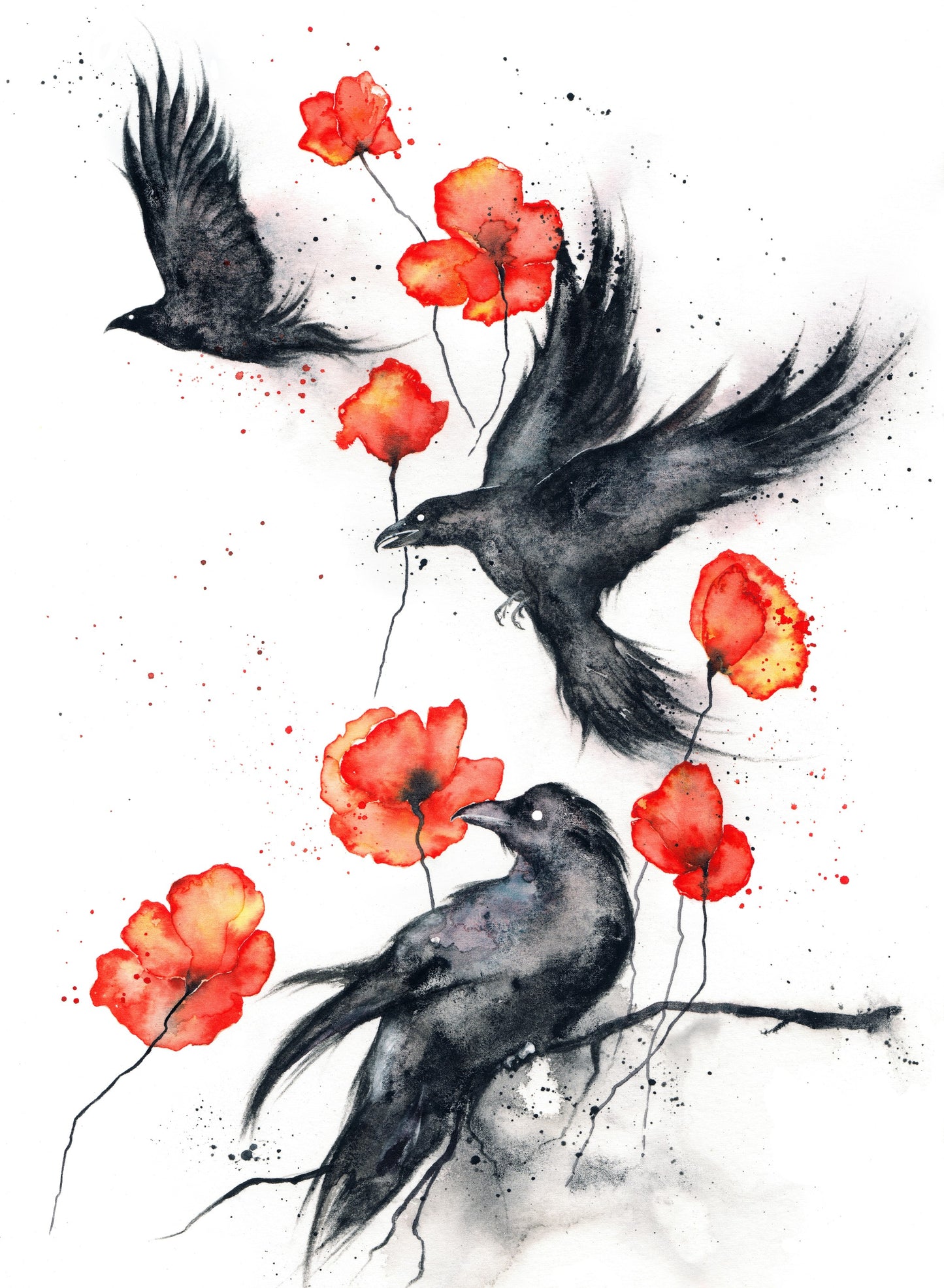 black-ravens-red-poppies-Luxurious-Wildlife & Animals-3D Textured Wall Art | UV Embossed Canvas Wall Frame for Home decor