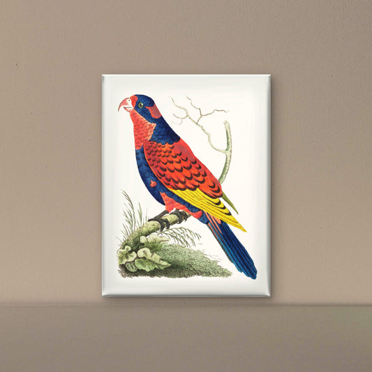Indian-lory-Luxurious-Wildlife & Animals-3D Textured Wall Art | UV Embossed Canvas Wall Frame for Home decor