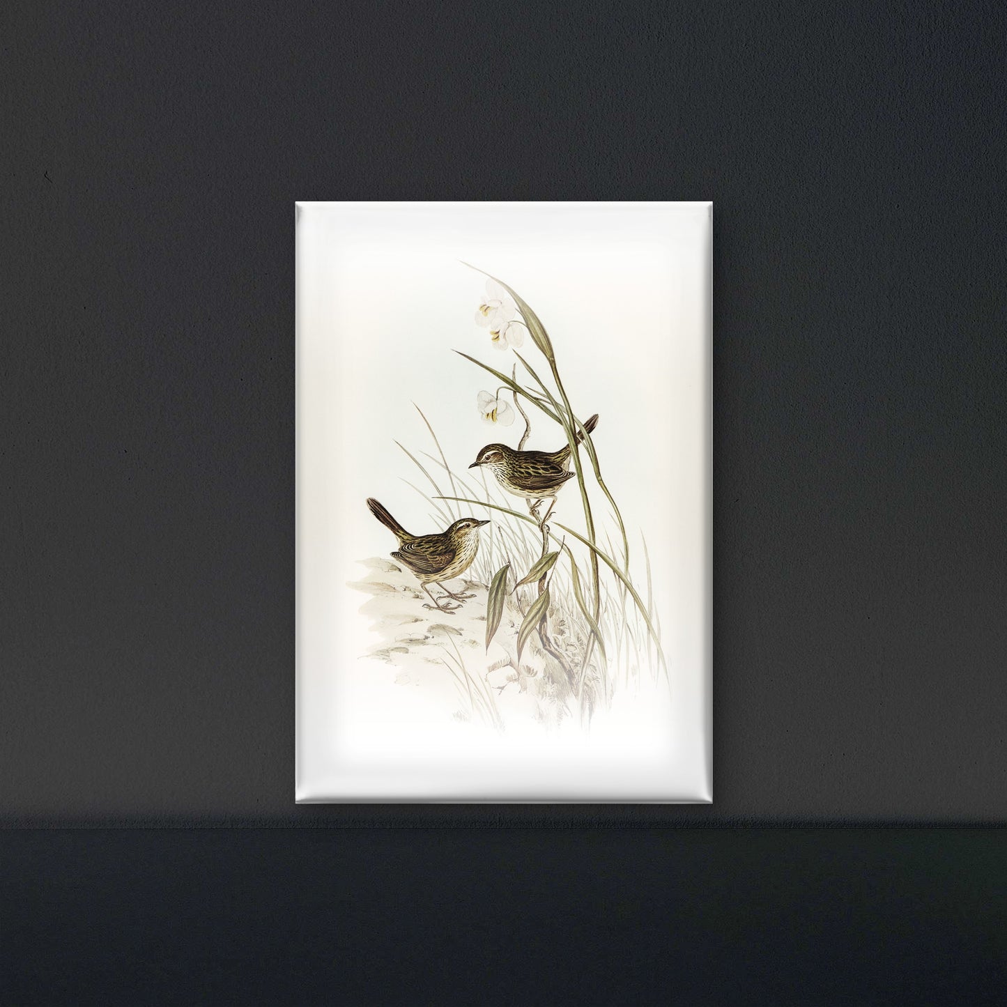 Striated-reed-lark-alamanthus-fuliginosus-Luxurious-Wildlife & Animals-3D Textured Wall Art | UV Embossed Canvas Wall Frame for Home decor