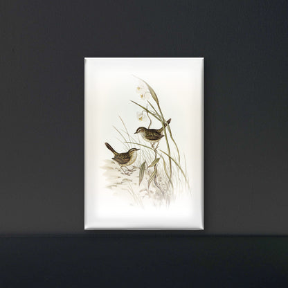Striated-reed-lark-alamanthus-fuliginosus-Luxurious-Wildlife & Animals-3D Textured Wall Art | UV Embossed Canvas Wall Frame for Home decor