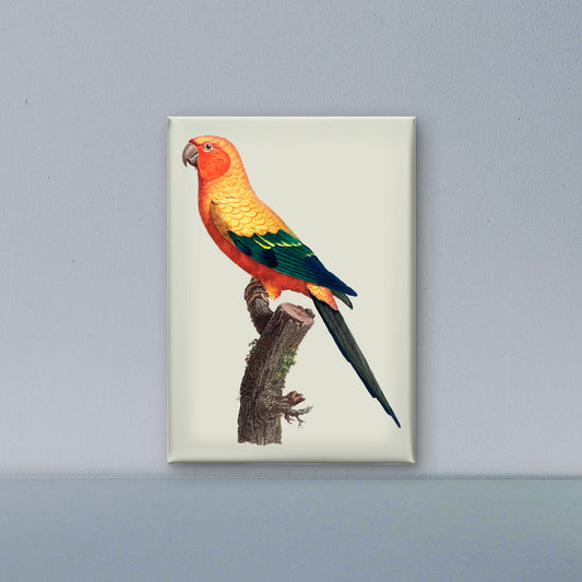 Sun-parakeet-Luxurious-Wildlife & Animals-3D Textured Wall Art | UV Embossed Canvas Wall Frame for Home decor